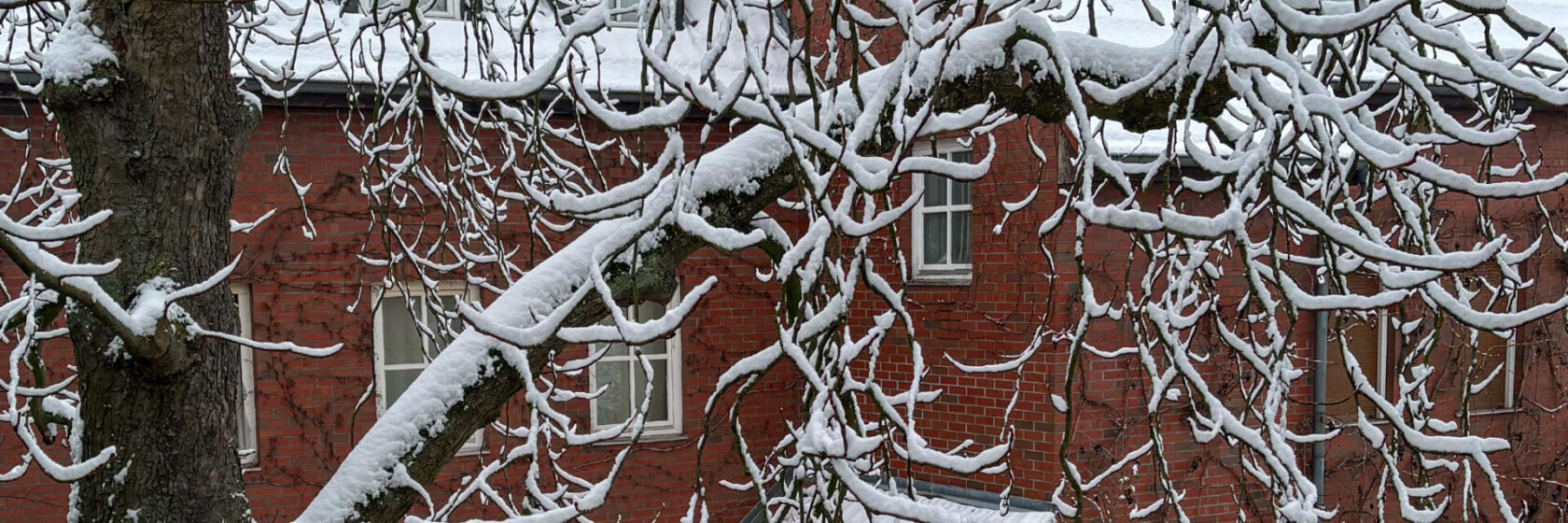 SE_Homeslider2026-0205