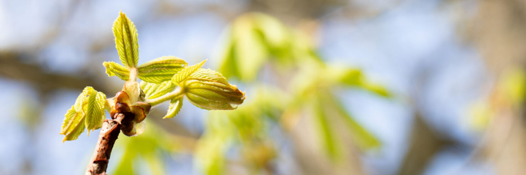 SE_Homeslider2026-04-03